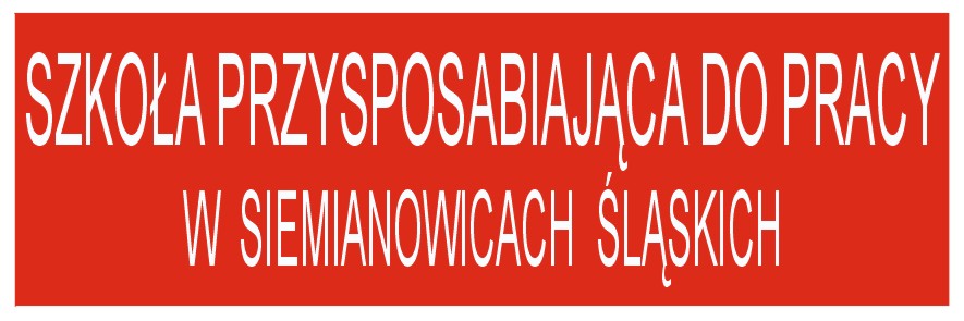 Plan lekcji dla uczniów szkoły przysposabiającej do pracy